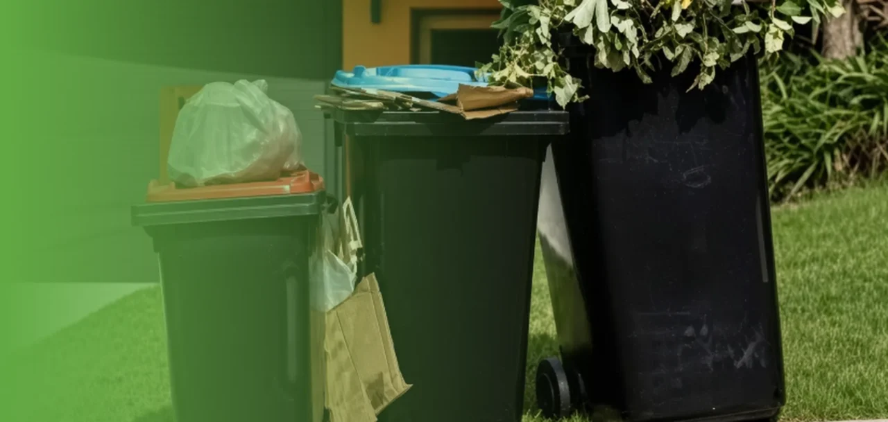 Clean green and grey wheelie bins standing on a lawn