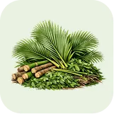 GREEN_VEGETATION_REMOVAL_SYDNEY_NORTHERN_BEACHES_WASTE_MY_BINS https://mybins.com.au/wp-content/uploads/2026/04/GREEN_VEGETATION_REMOVAL_SYDNEY_NORTHERN_BEACHES_WASTE_MY_BINS.webp